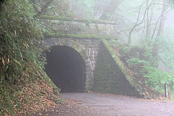 天城トンネルの風景