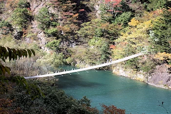夢のつり橋の風景