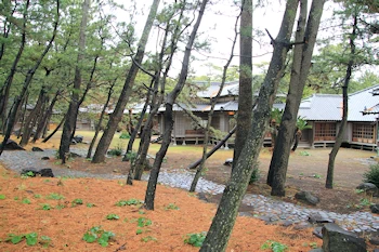 沼津御用邸記念公園の風景