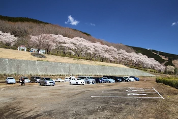 富士霊園の風景