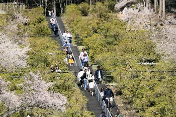 富士霊園の風景