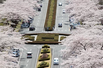 富士霊園の風景
