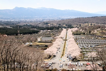 富士霊園の風景
