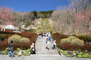 富士霊園の風景