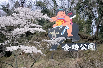 金時公園の風景