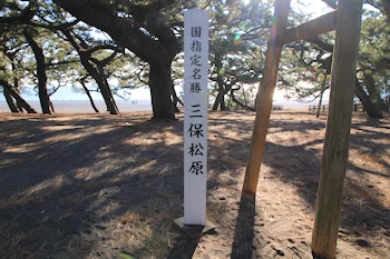 三保松原の風景