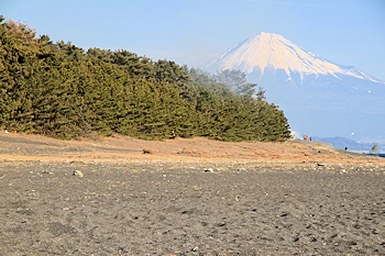 松原と富士山の風景