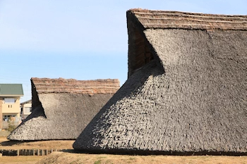 登呂遺跡の風景