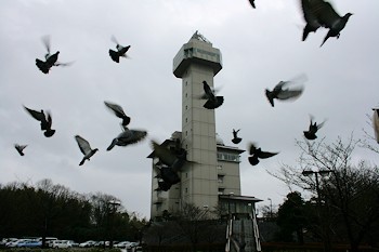 尾張旭市の風景
