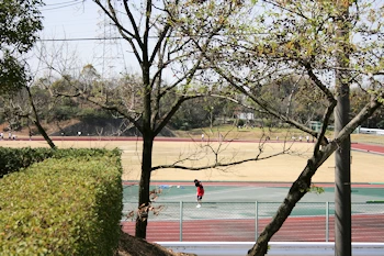 阿久比スポーツ村の風景