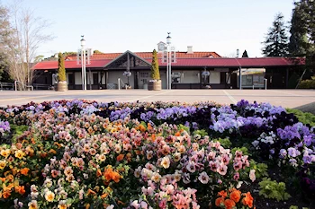 道の駅デンパーク安城の風景