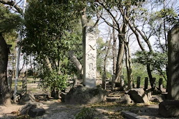 入海貝塚の風景