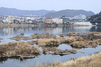 日本ラインの画像