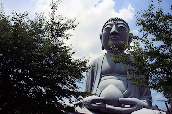 布袋大仏の風景