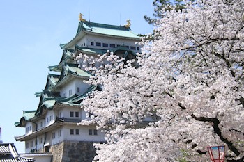 名古屋城の画像
