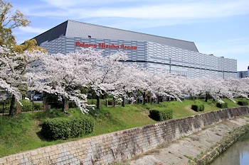 山崎川四季の道の風景