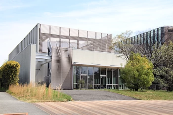 山崎川四季の道の風景