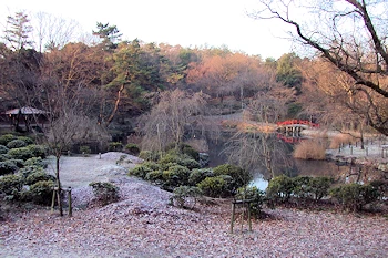 森林公園の風景