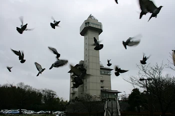 スカイワードあさひの画像