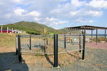 願いのかなう鍵の画像