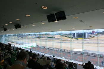 中京競馬場の風景