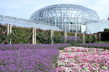 のんほいパークの風景