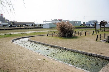 とんぼ公園の画像