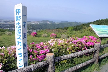 一宇田展望台の画像