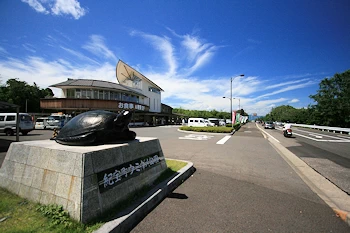 道の駅紀宝町ウミガメ公園の風景