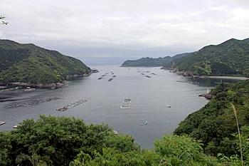 鵜倉園地の風景