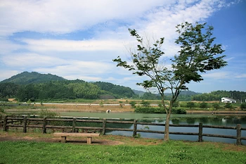 のびのびパーク天啓の風景