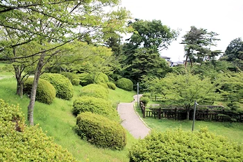 笹尾中央公園の風景