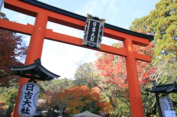 入口の鳥居の風景