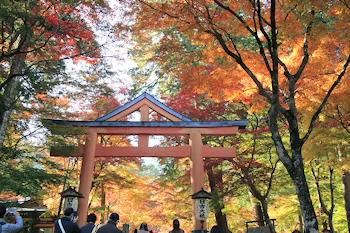 山王鳥居の風景
