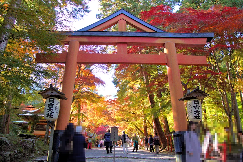 日吉大社の風景