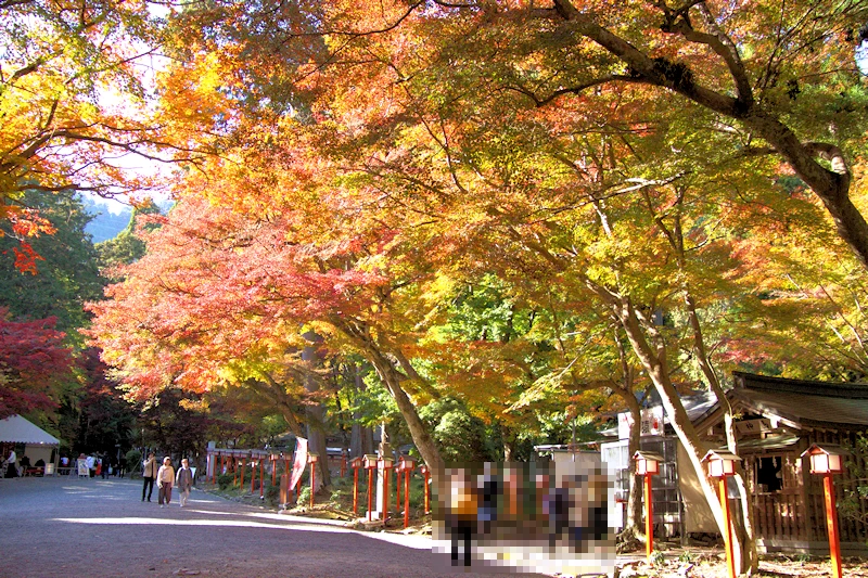 日吉大社の風景