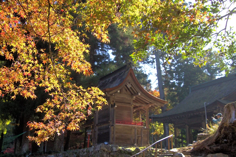 日吉大社の風景