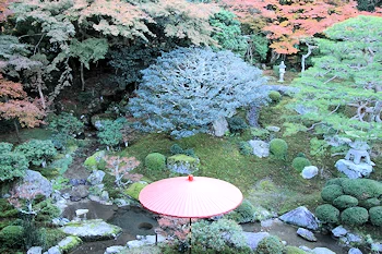 庭園その1の風景