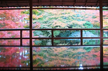 庭園その2の風景