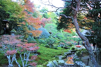 庭園その3の風景