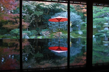 庭園その4の風景