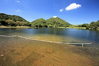 滋賀県希望が丘文化公園の画像