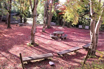 笠置山自然公園の画像