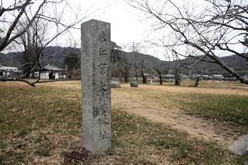 恭仁宮跡の画像