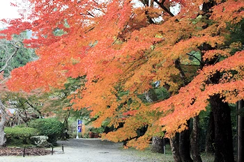 醍醐寺の風景