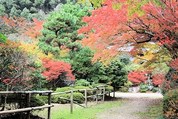 醍醐寺の風景