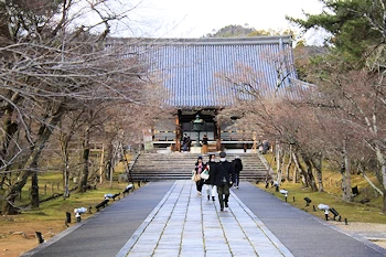仁和寺の風景