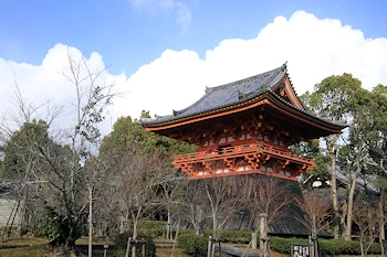 仁和寺の風景
