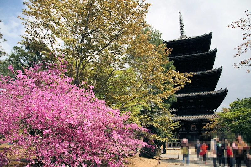 仁和寺の風景