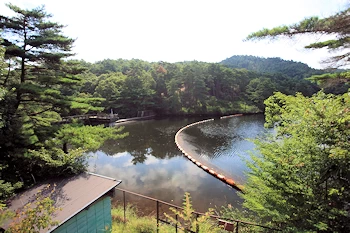 るり渓自然公園の画像